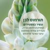 תמונת מוצר - הערכה לטיפול בנשירת שיער מסדרת Big Bang Hair Collection - מחיר המוצר 259.9000 ש״ח