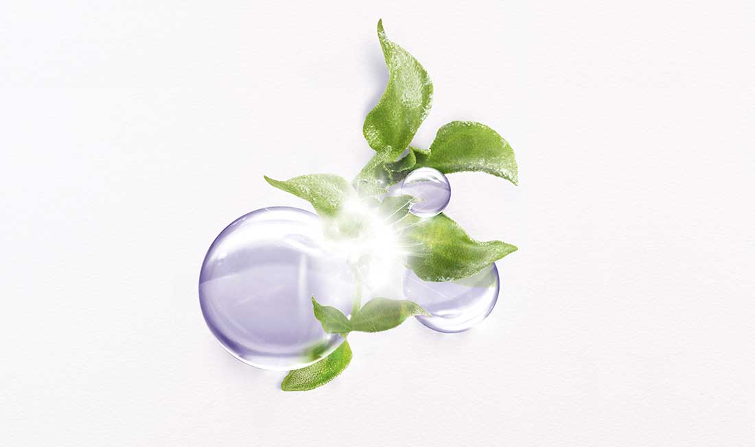 הסדרה החדשה למילוי קמטים, מיצוק העור, והשבת הנפח לעור הפנים - תמונה מספר 3