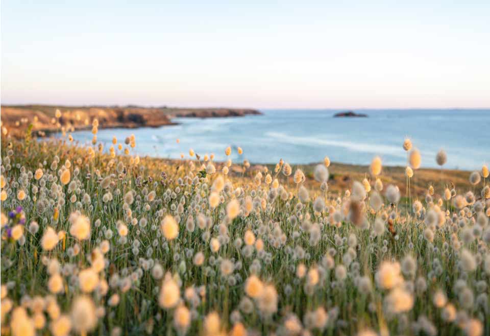 קוסמטיקה טבעונית - תמונה מספר 1