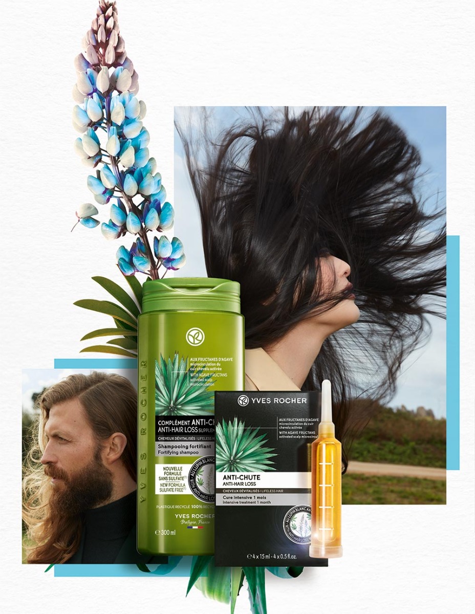 סדרת השיער המחודשת של איב רושה - תמונה מספר 2