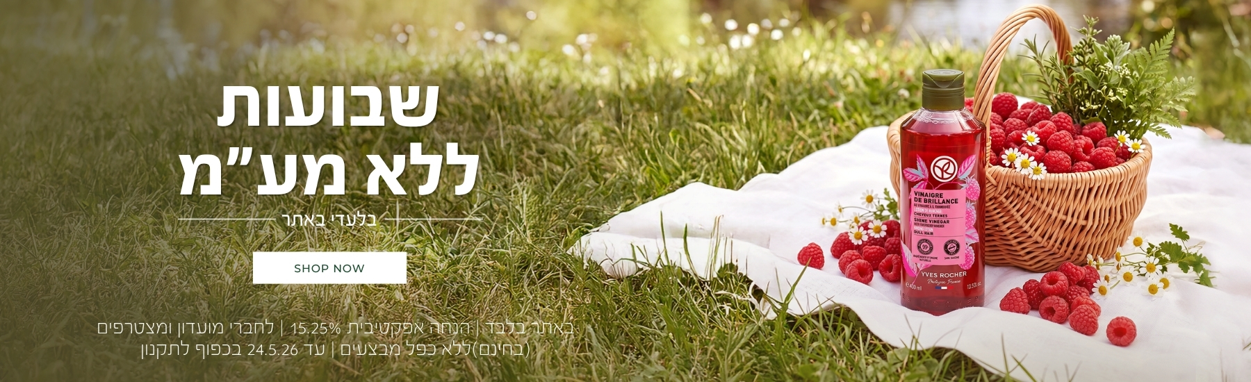 שבועות ללא מע"מ! >>> באתר בלבד | ללא כפל מבצעים | הנחה אפקטיבית 15.25% | למועדון ומצטרפים (ההצטרפות חינם) | עד 24.5.26 או גמר המלאי - המוקדם מביניהם | החברה רשאית לסיים את המבצע בכל עת